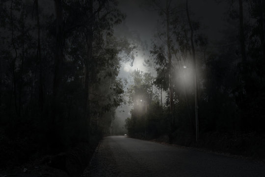 Forest road in a full moon night