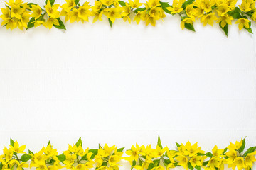 Festive flower arrangement on white background