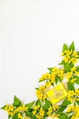 Festive flower arrangement on white background
