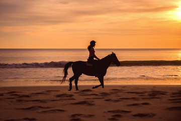 Silhouette of Female Horse Rider Cantering on the Sandy Beach at Sunset