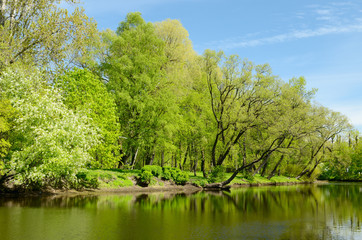 Fototapeta na wymiar The natural landscape in the spring.