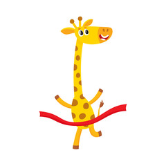 Cute little raccoon character, champion, winner standing in laurel wreath, cartoon vector illustration isolated on white background. Little baby raccoon animal champion in bay leaf wreath