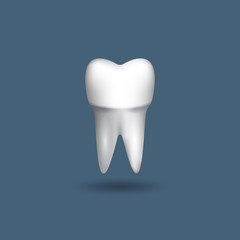 Realistic 3D white tooth. Dental Vector Illustration.