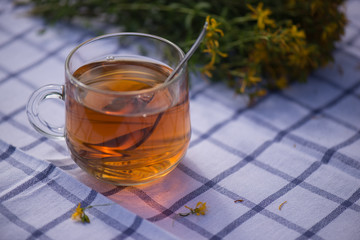 Травяной чай из зверобоя