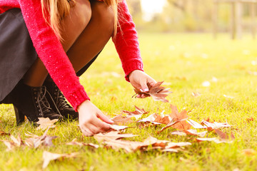 Woman in autumn park picking gold leaves