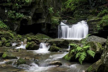 Waterfall on a river in a forestWaterfall on a river in a Waterfall on a river in a forest