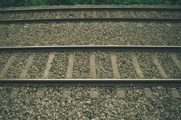 Dark forest railroad background - 165602972