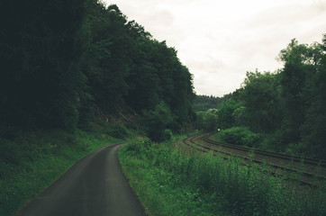 Dark forest railroad background - 165602996