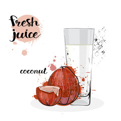 Coconut Juice Fresh Hand Drawn Watercolor Fruits And Glass On White Background Vector Illustration