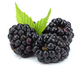 blackberries with green leaf isolated on white background. macro