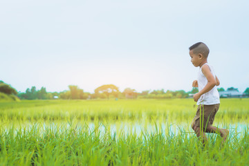 Naklejka na ściany i meble Happy Children wearing a white shirt playing in green farm field in summertime.