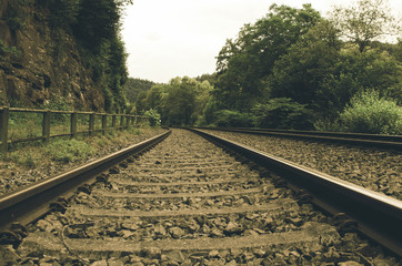 Dark forest railroad background - 165603776