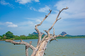 Sigiriya Rock Fortress View From Thalkote Lake. Spending the evening time around Thalkote lake is a popular way among the tourists