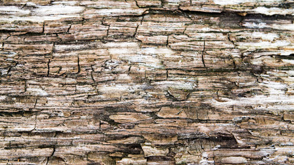old wooden surface