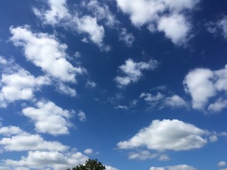 beautiful summer morning cloudscape
