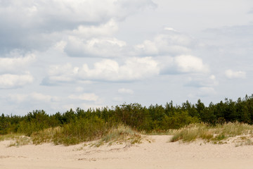 Light sand dunes on Baltic Sea beach