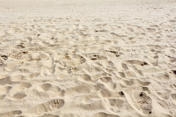 Fototapeta na wymiar Texture of light sand on the baltic beach