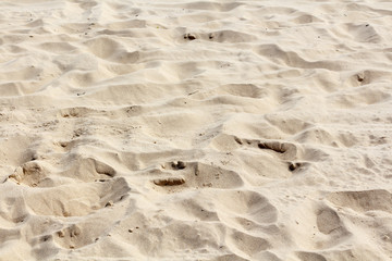 Texture of light sand on the baltic beach