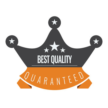 Vip club sign with ribbon and crown. Vector creative design modern flat illustration.