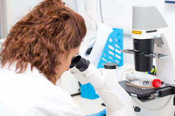 Researcher at work in lab