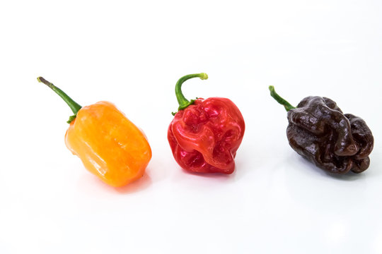 Habanero peperoncini misti ,arancio,rosso,chocolato nero,molto buoni e piccanti 