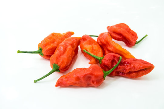 Naga Morich  peperoncini colore rosso ,molto buoni e piccanti 