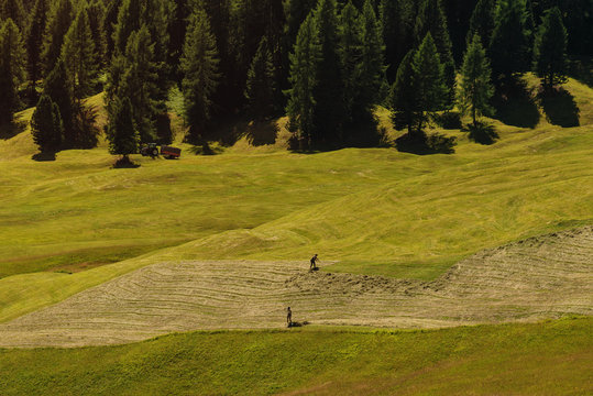Bauern machen Heu auf einer Alm in den Dolomiten, Italien