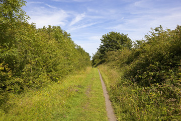 rail trail