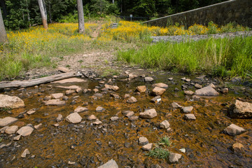 Blue Brook