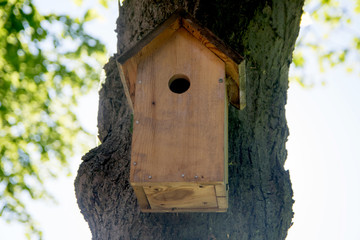 Bird house hanging from the tree with the entrance hole in the shape of a circle