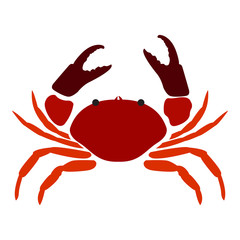Isolated abstract crab on a white background, Vector illustration