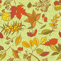 Obraz na płótnie Canvas Vector seamless pattern sketch branches with autumn leaves, dried flowers and ripe berries. Colourful herbal graphics. Elements september or october leaf fall and harvest on light green background