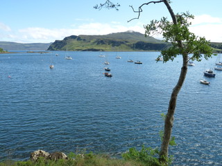 Boats in Portree