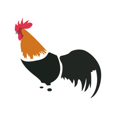 Isolated abstract chicken on a white background, Vector illustration