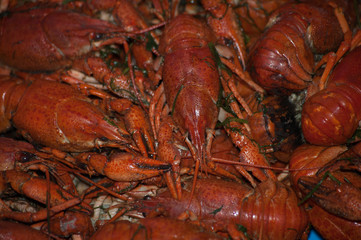 Red boiled crawfish. Natural food