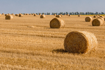 a stack of hay. Haystacks.Farming