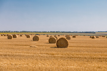 a stack of hay. Haystacks.Farming