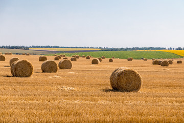 a stack of hay. Haystacks.Farming