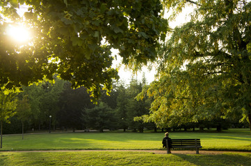 Paysage ensoleillé dans parc de la Tête d'Or avec personne assise sur banc à Lyon