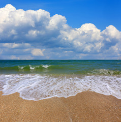 Fototapeta na wymiar sunny seashore landscape