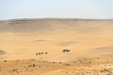 Fototapeta na wymiar Desert of Giza