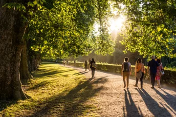 Foto auf Leinwand Spaziergänger im Park in der Abendsonne © joh.sch