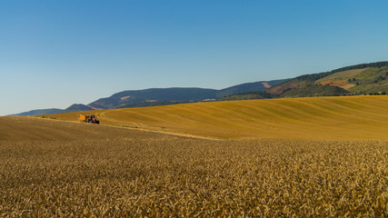  Tractor con remolque en campos de trigo