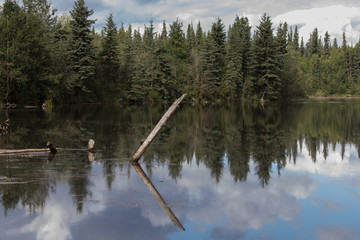 A Peaceful spot on the Slough