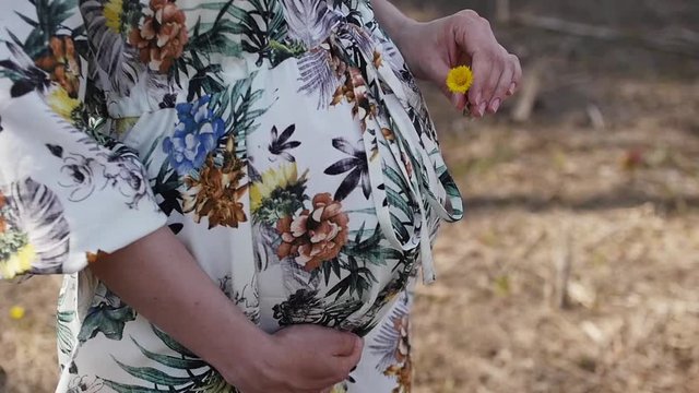 Pregnant girl walking with flower, slowmotion