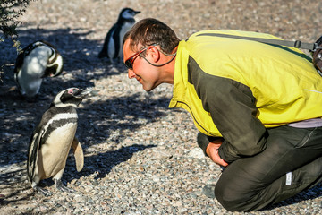 Talking with penguins