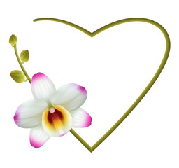 Реалистичная орхидея, красивая романтичная рамка
