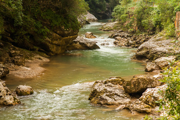 Naklejka na ściany i meble pure mountain stream in a narrow canyon among the bushes and trees