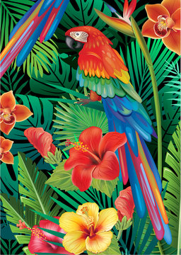 Parrot with tropical plants