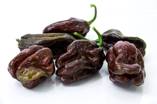 habanero peperoncino  chocolate nero molto buoni e piccanti su fondale bianco 